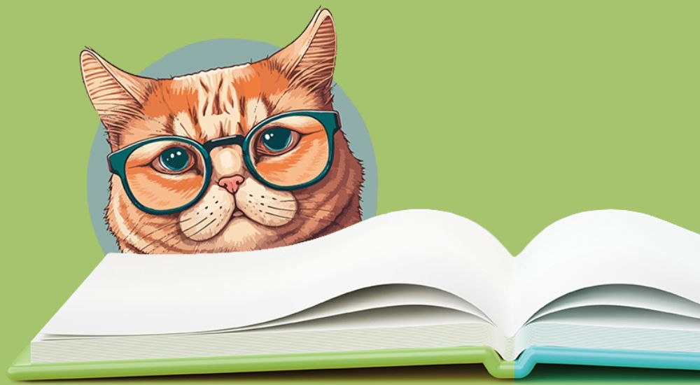 Cinamon: Grafik von Katze mit Brille über einem offenem Buch.