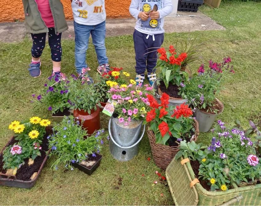 Blumen in Gefäßen stehen auf dem Rasen