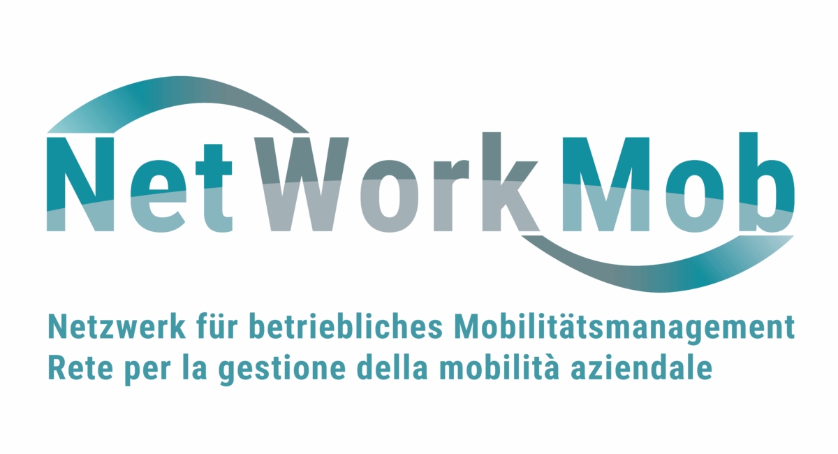 Logo NetWorkMob