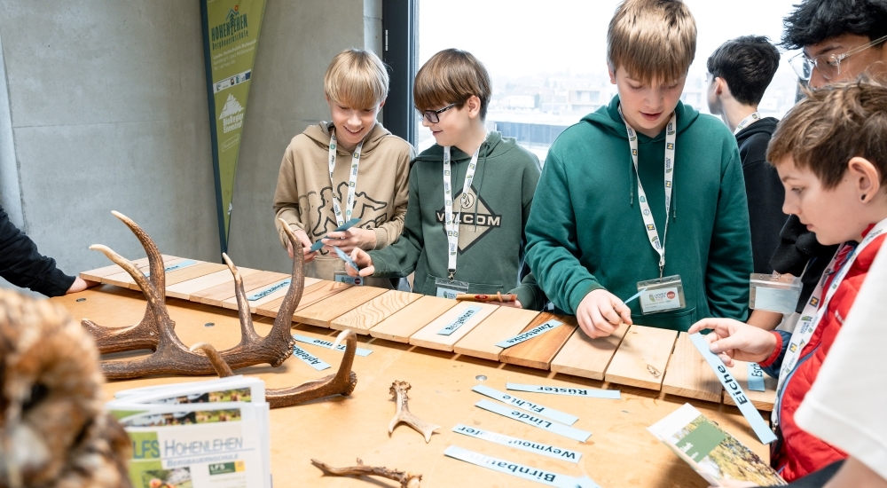 mehrere Jugendliche ordnen Holzstücke den Bäumen zu