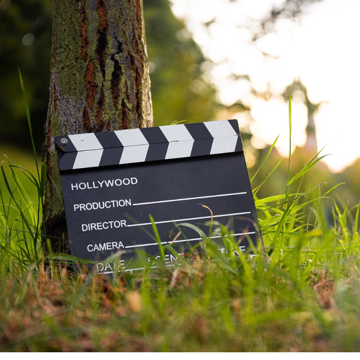 Filmklappe mit der Aufschrift ‚Hollywood‘ steht im Gras neben einem Baum im Sonnenlicht