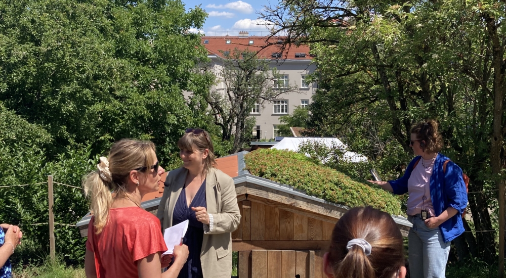 vier Frauen unterwegs auf Feldweg
